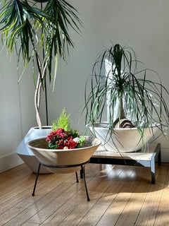 Architectural Pottery + Base a treppiede in ferro Lagardo Tackett