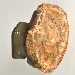 Door Handle in Petrified Wood and Bronze Push Pull