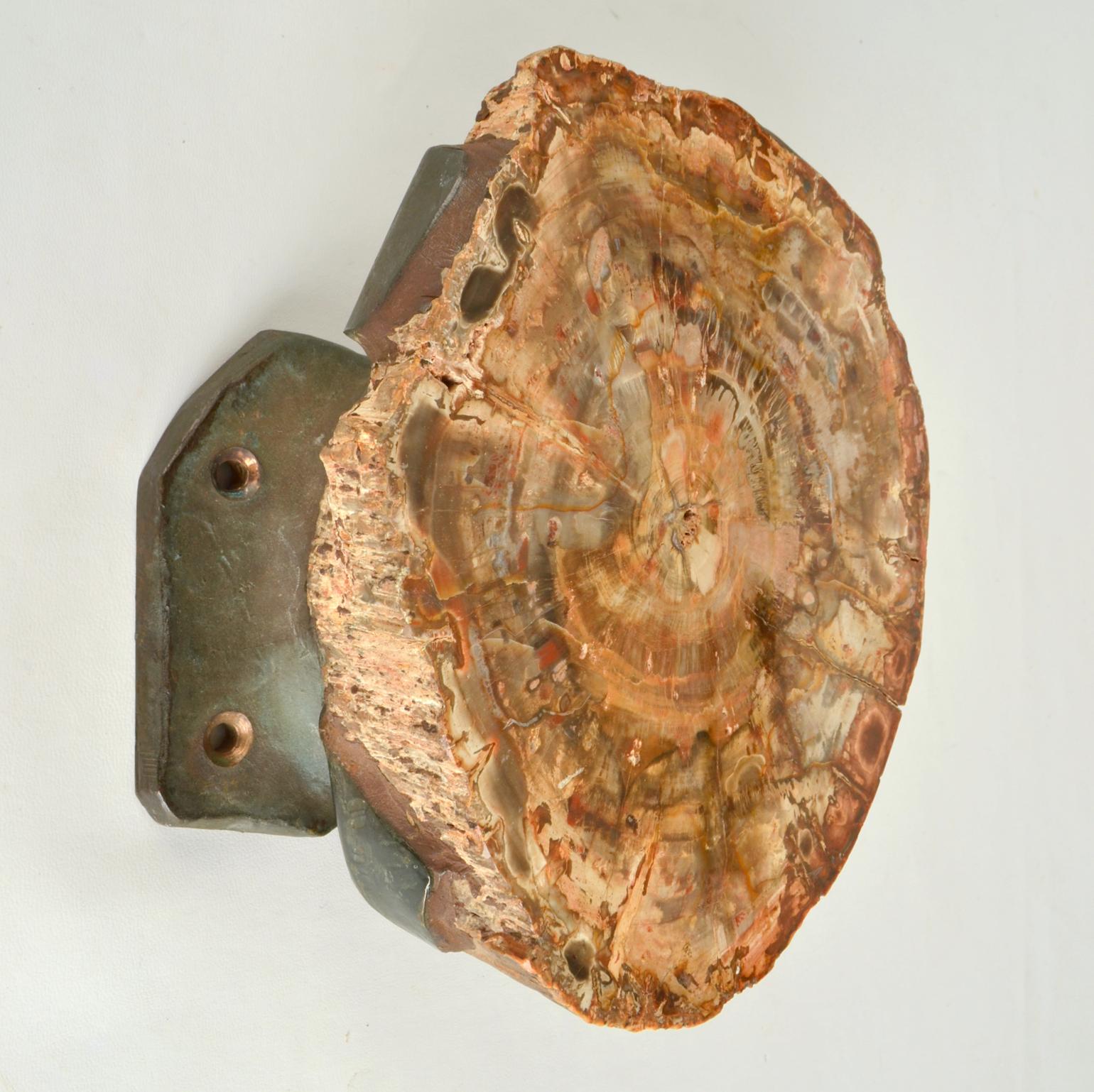 Mid-Century Modern Architectural Push Pull Door Handle in Petrified Wood and Bronze For Sale
