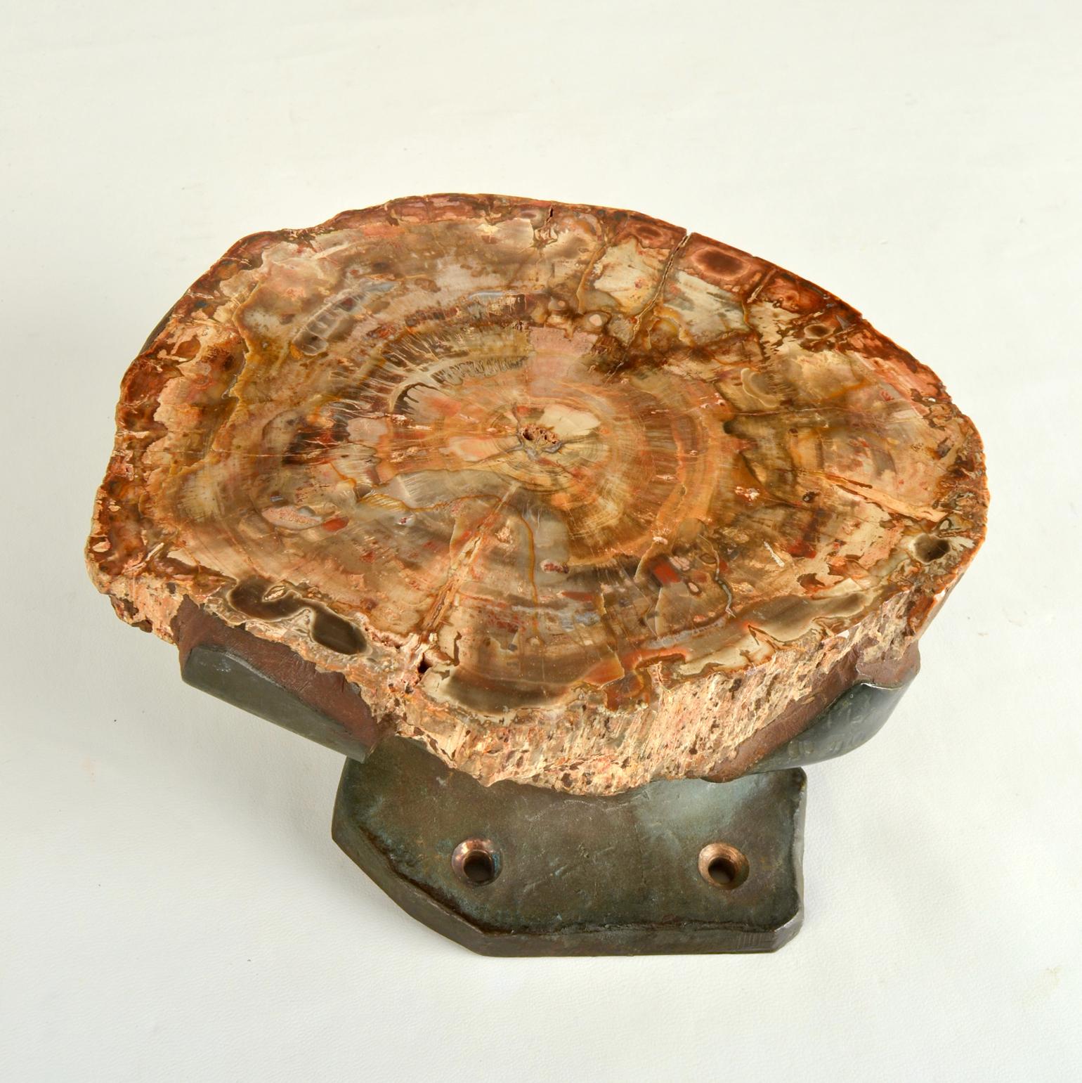 Mid-20th Century Architectural Push Pull Door Handle in Petrified Wood and Bronze For Sale