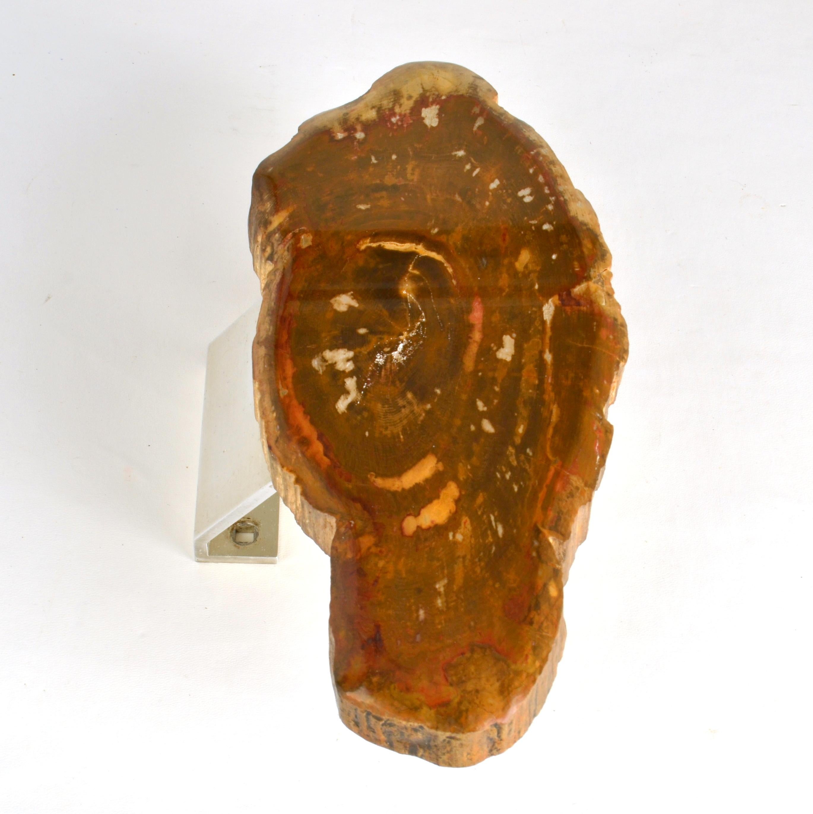 Mid-Century Modern Architectural Push Pull Door Handle in Petrified Wood For Sale