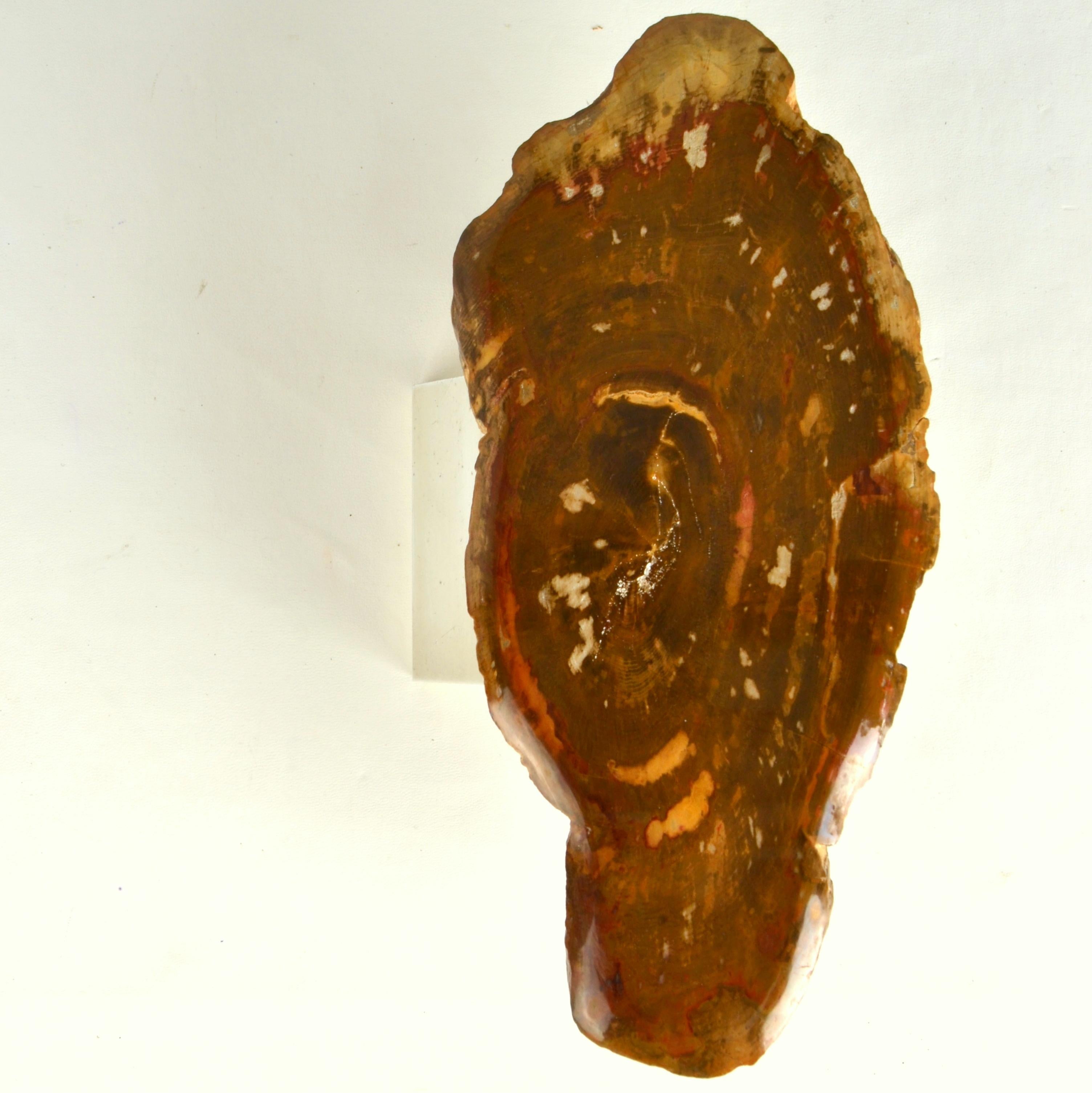 Architectural Push Pull Door Handle in Petrified Wood In Excellent Condition For Sale In London, GB
