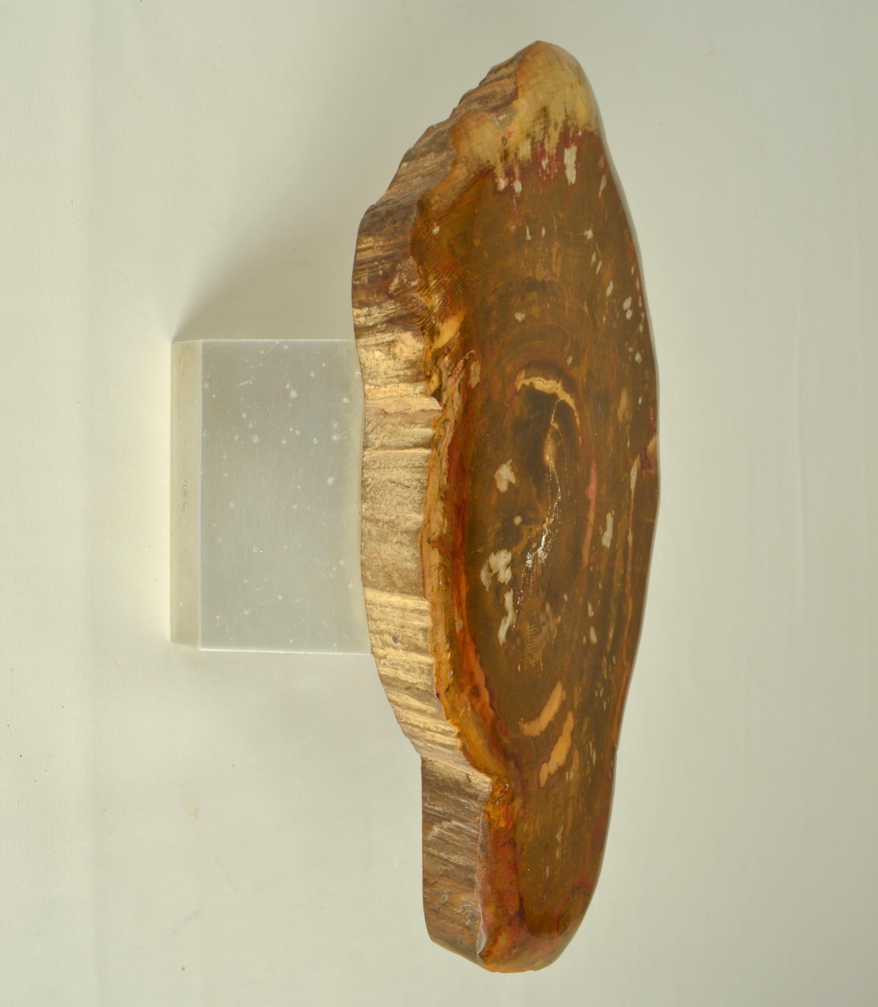 Mid-20th Century Architectural Push Pull Door Handle in Petrified Wood For Sale