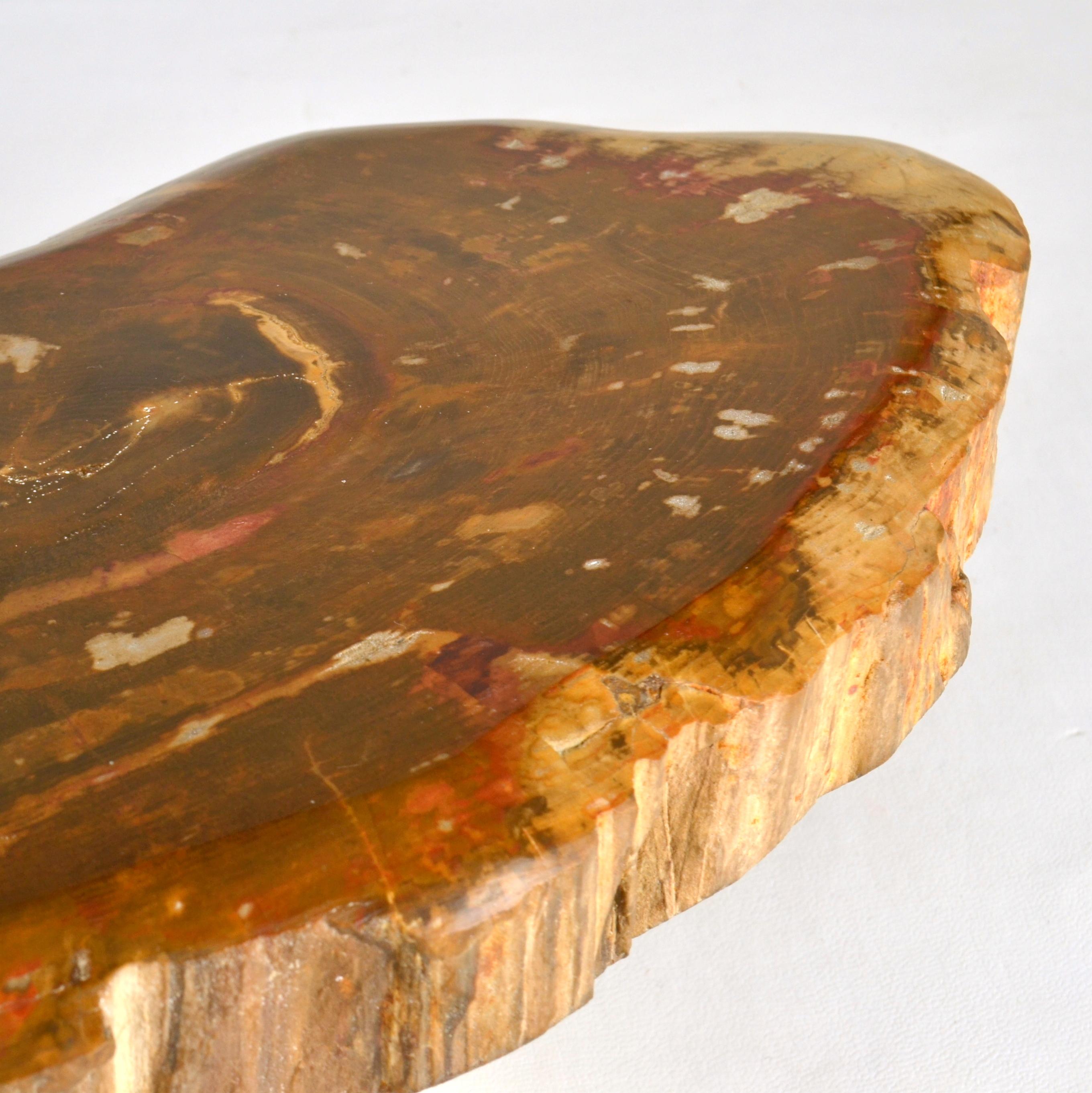 Architectural Push Pull Door Handle in Petrified Wood For Sale 1