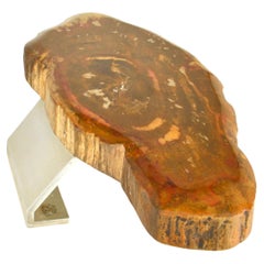 Vintage Architectural Push Pull Door Handle in Petrified Wood