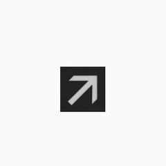 Architectural Sign - Diagonal Arrow / Evacuation route