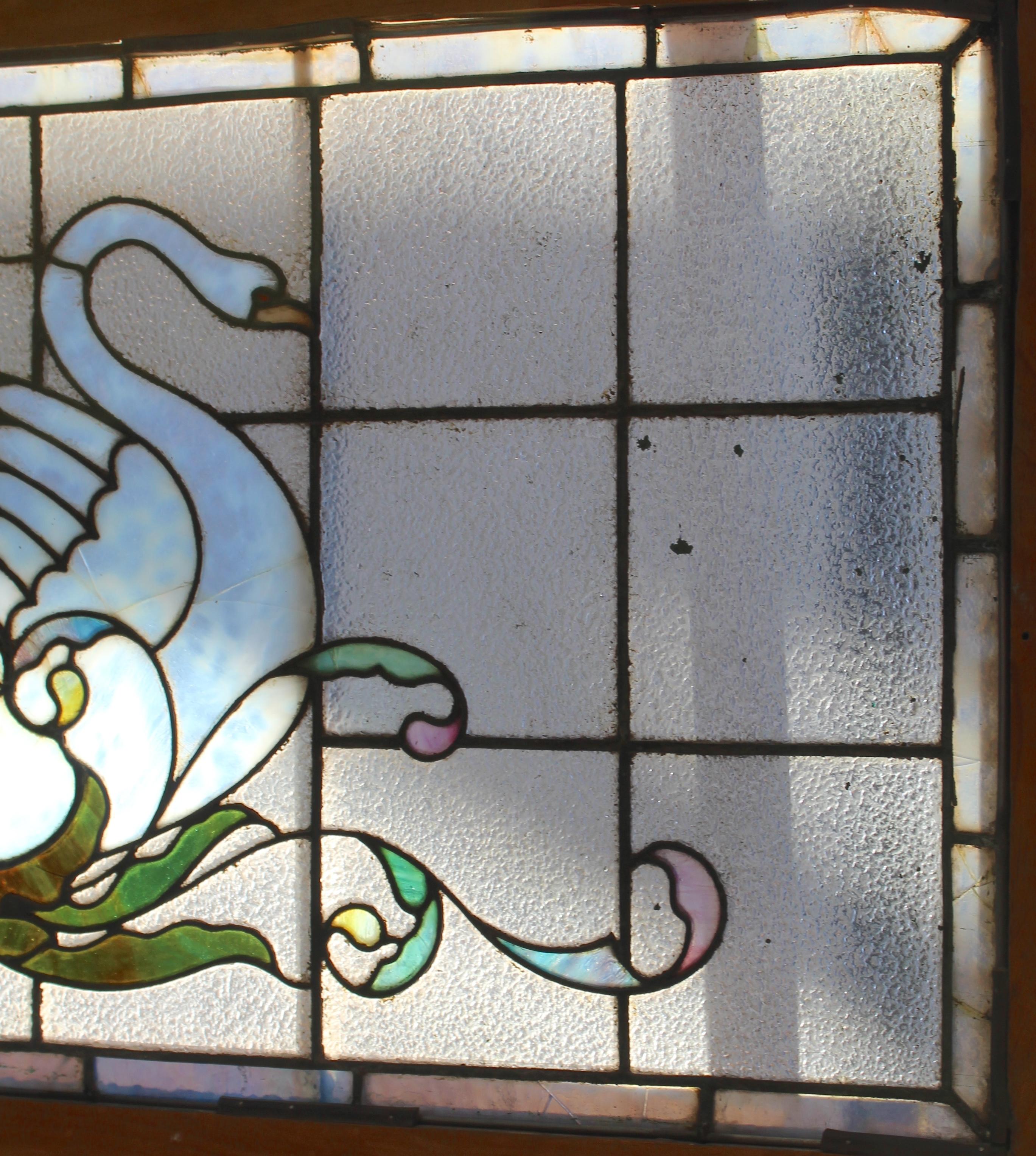 XX secolo Finestra architettonica con cigni 48
