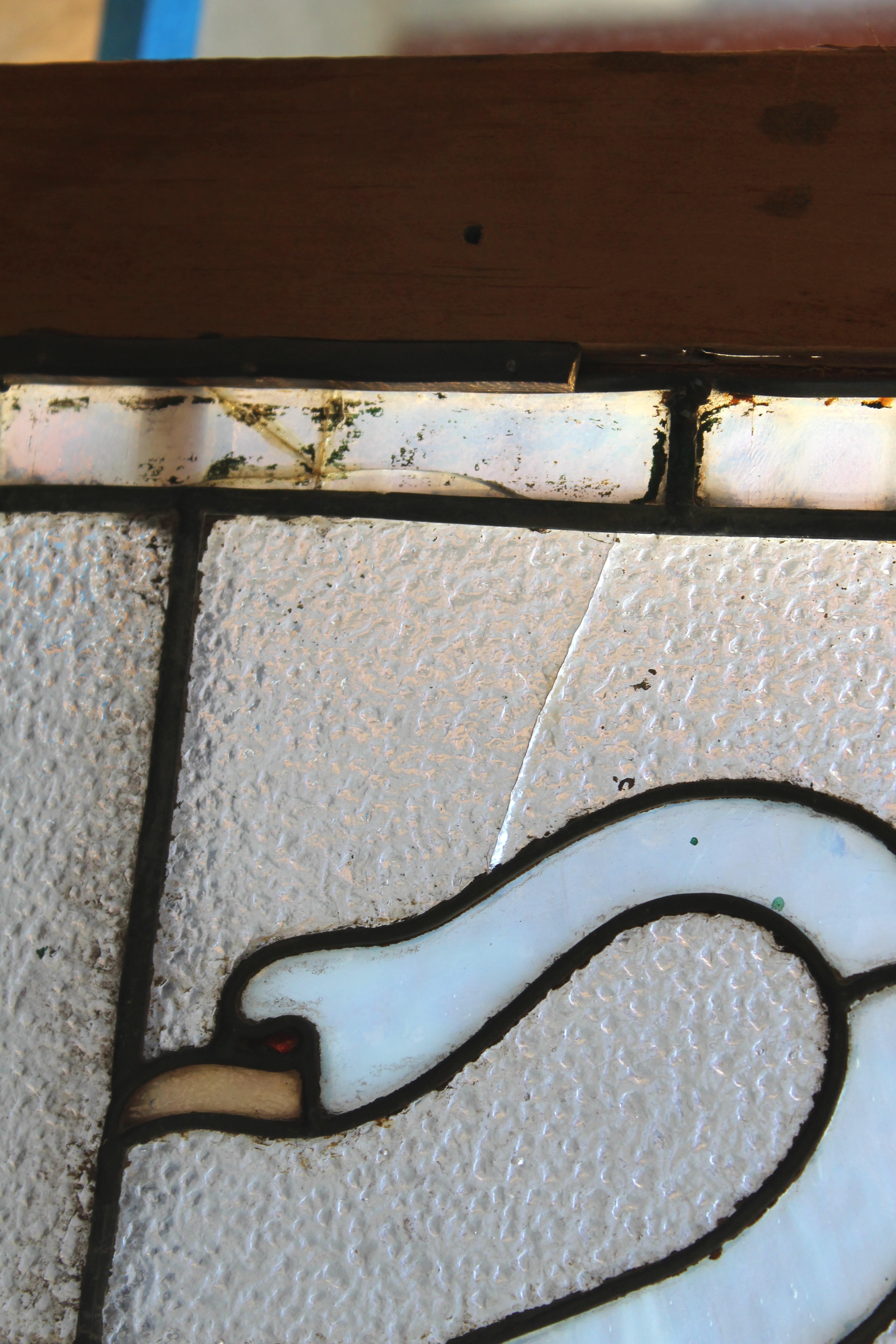 Finestra architettonica con cigni 48