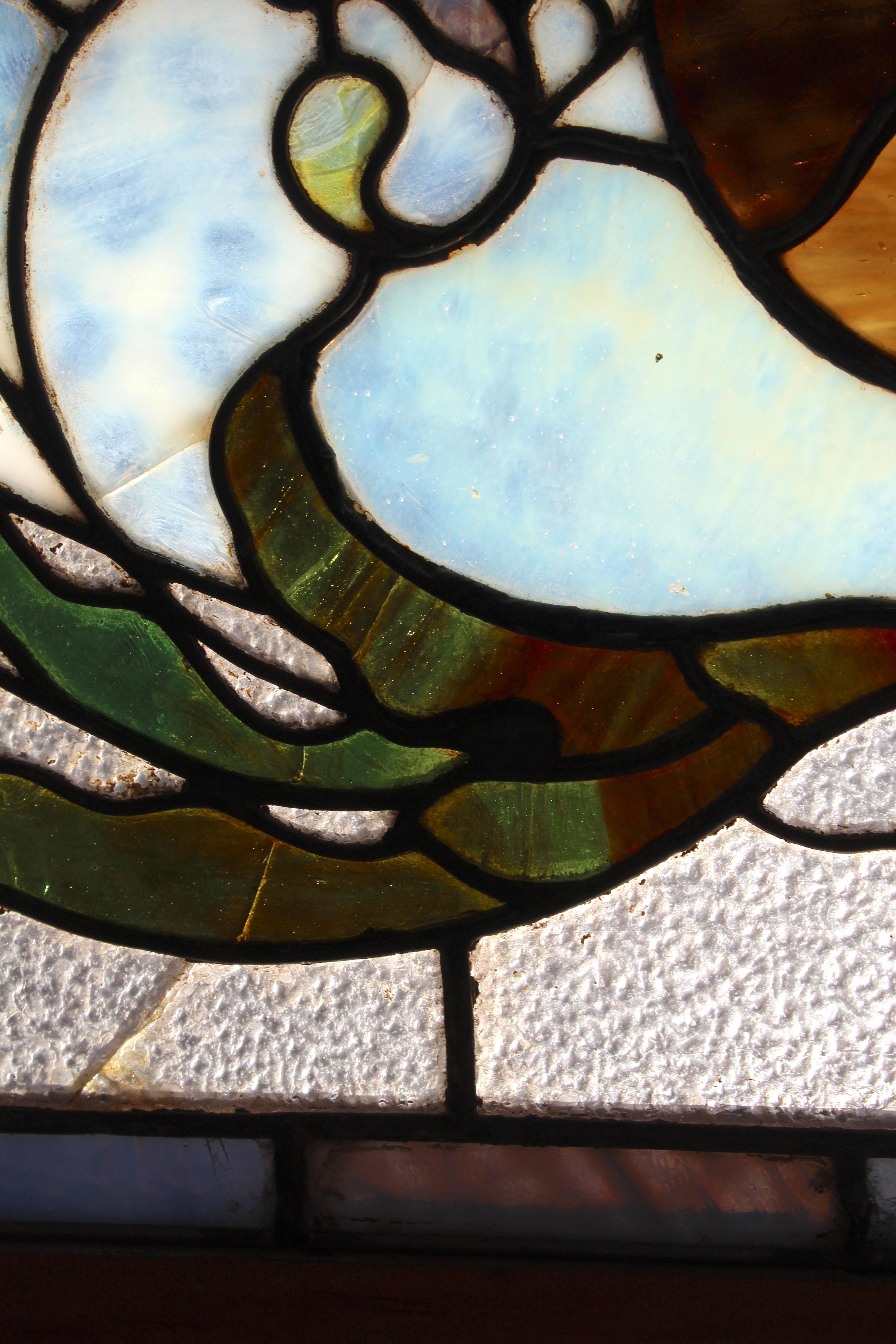 Finestra architettonica con cigni 48