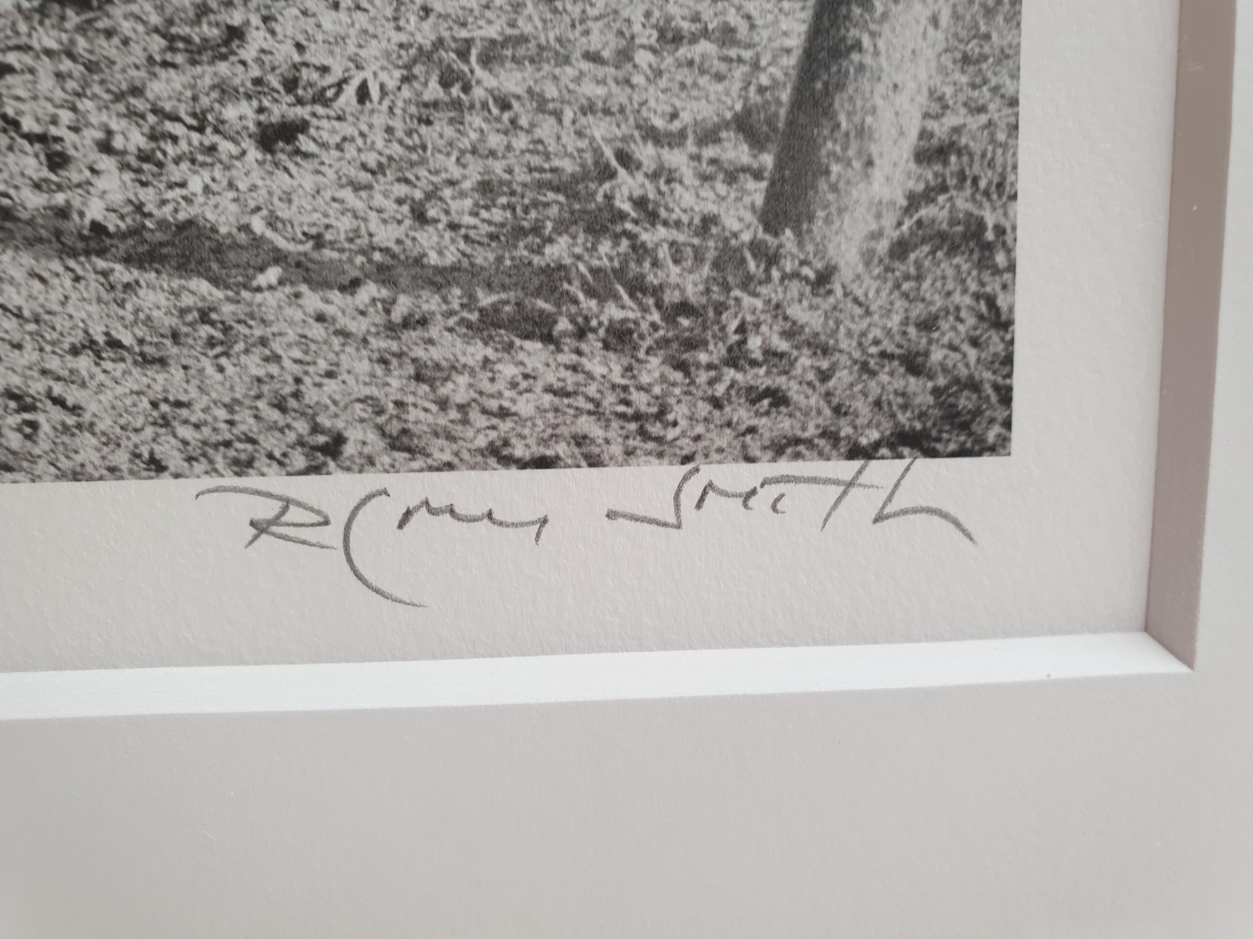 Archivdruck „Golfer im Baum“ von Rodney Smith im Zustand „Gut“ im Angebot in London, GB
