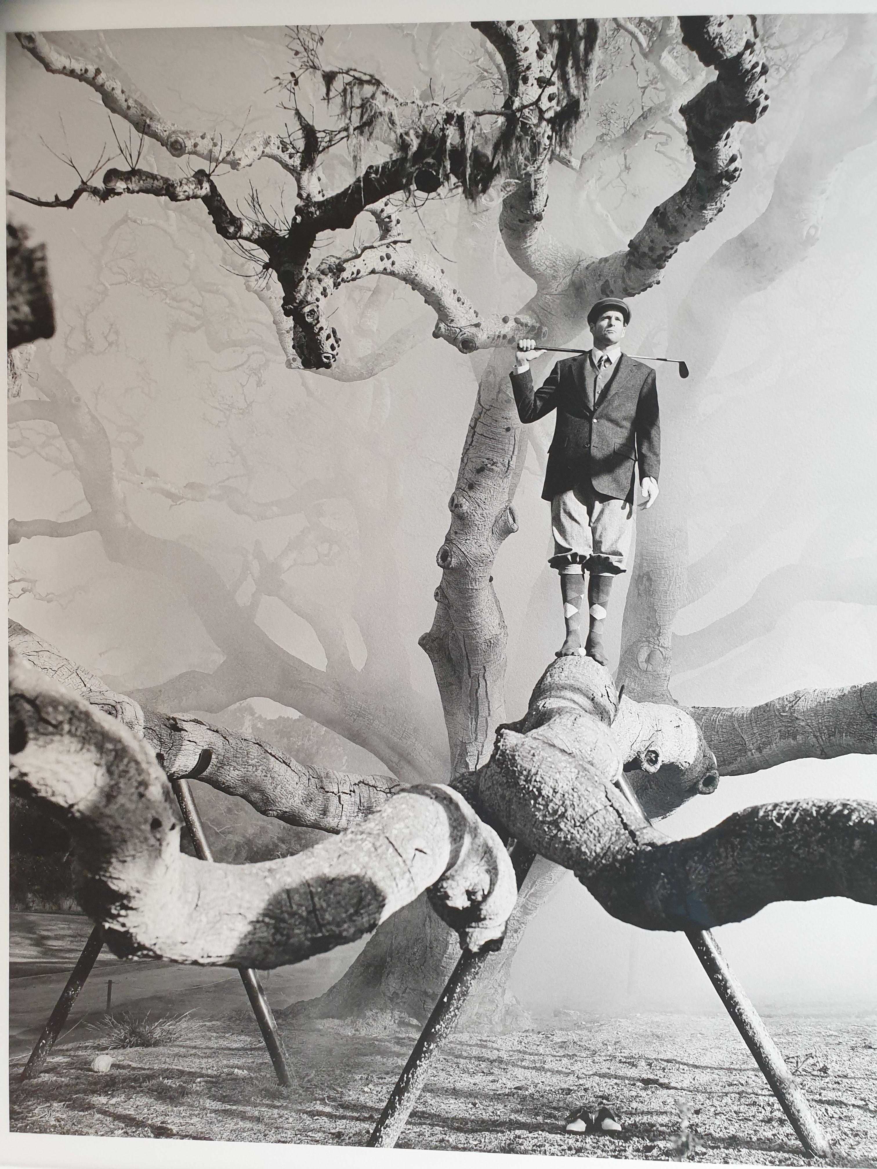 Archival Print 'Golfer in Tree' by Rodney Smith In Good Condition For Sale In London, GB