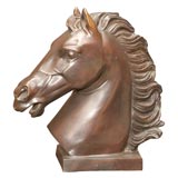 Stallion Head