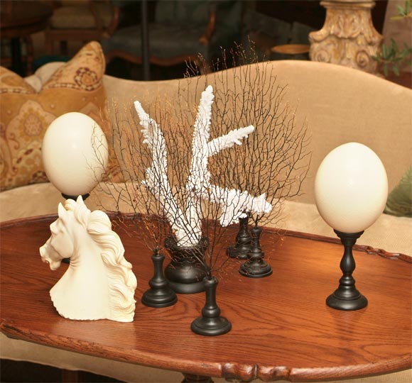 nice selection of various coral white coral pieces, sea fans and mounted ostrich eggs on raised ebonized baluster stands
