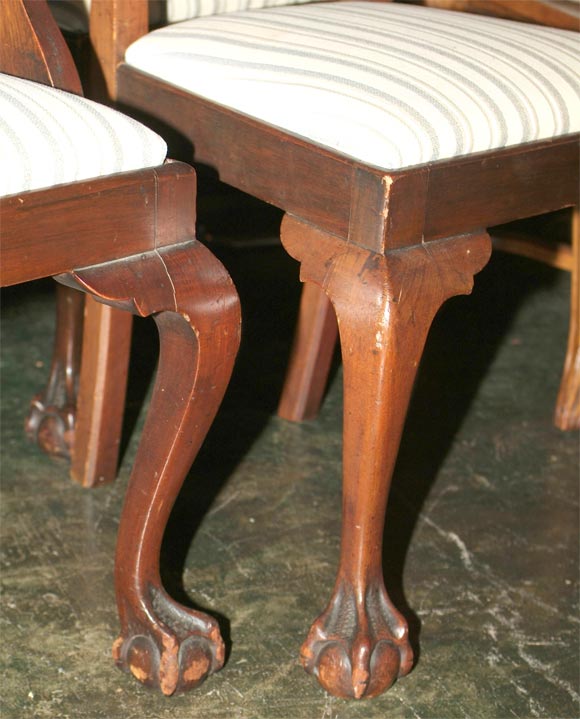 American Centennial Walnut Dining Chairs in the Chippendale Manner Set Six