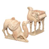 Antique Pair of Tang Dynasty Terracotta Camels