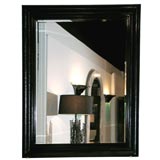 Large Hanging Mirror with Python Frame by Karl Springer (signed)