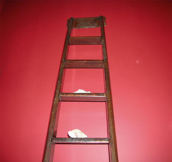 Welsh Library ladder