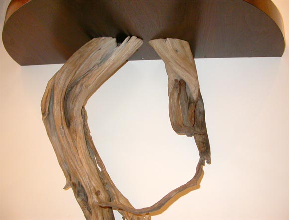 Pair of beautifully Executed driftwood wall mounted console tables with semi circular veneered tops.