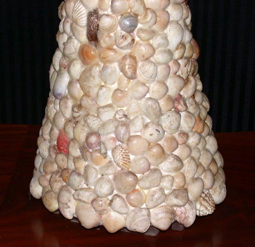 Pair shell lamps