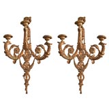 Continental Gilded/Carved Wood Sconces