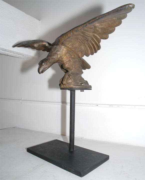 19THC CAST IRON EAGLE WITH ORIGINAL GILDED SURFACE ON IRON MOUNT at 1stDibs