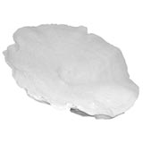 Collector
s Coral Specimen