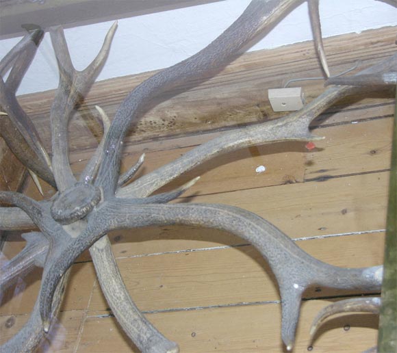 Glass Top Antler Table 1