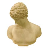 Marble Bust of David