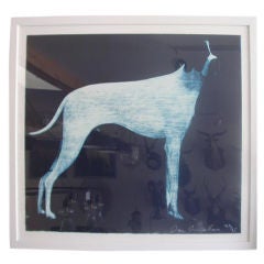 Blue Dog