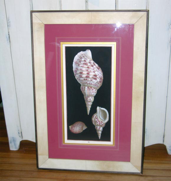 Studio Puck "Sea Shell" Etching