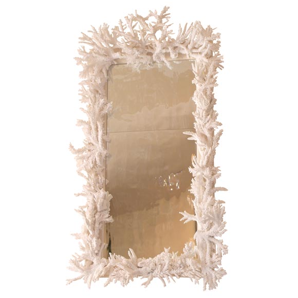 Rare White Coral Mirror