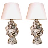 Pair of Shell Fruit Lamps