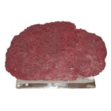 Massive Red Coral Mounted on Lucite