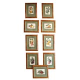 Set of 9 English Fruit Prints