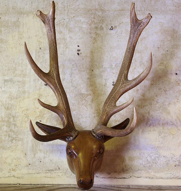 Carved Wood Deer Head with Attached Natural Antlers