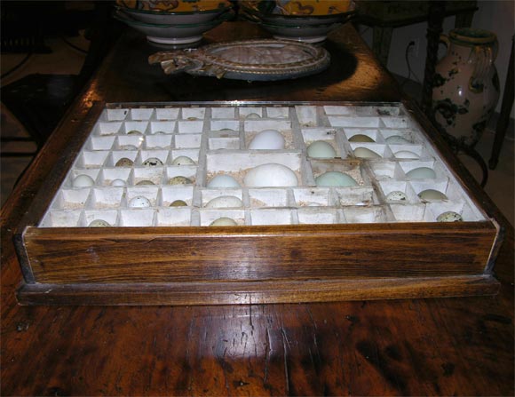 20th Century Egg Collection
