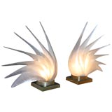 Pair of Rougier "Cock-a-Too" Lamps