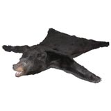 Black Bear Rug with Head Mount