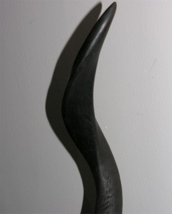 Kudu Horn Sculpture 1