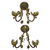 Thistle Sconces