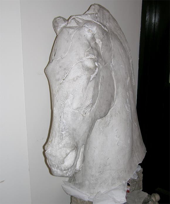 Plaster Horse Head-Life Size