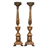 Pair of French Gilt wood Altar candlesticks