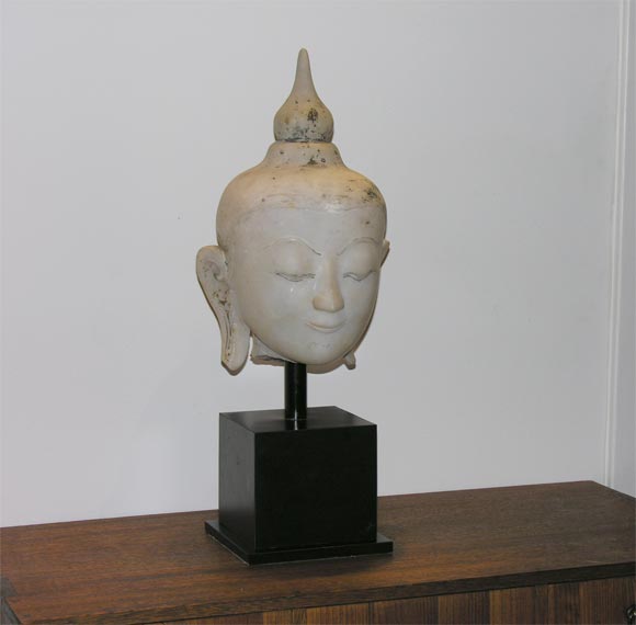 Buddha Head