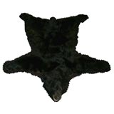 Vintage Black Bear Cub  Rug