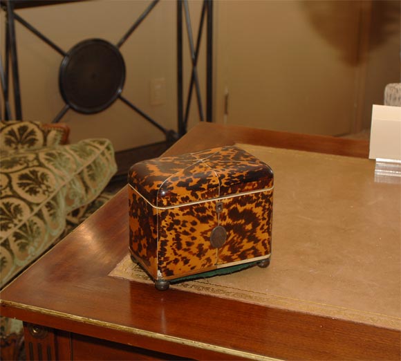 Regency Ivory Strung Tortoiseshell Tea Caddy