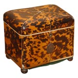 Regency Ivory Strung Tortoiseshell Tea Caddy