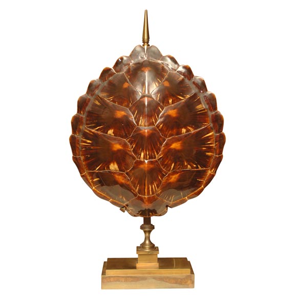 Turtle shell mounted as a table lamp