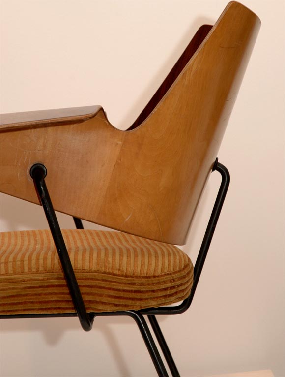 Rosewood Rare and Unusual Robin Day chair from Royal Festival Hall