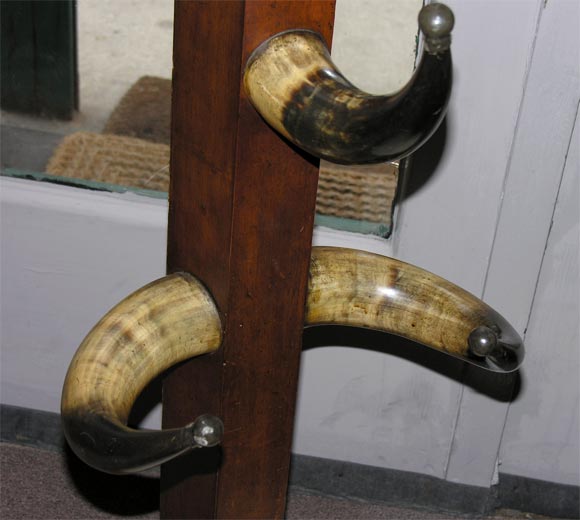 19th Century Scottish horn hall rack