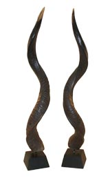 Pair 19th Century Elk Horns